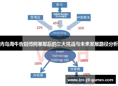 青岛海牛告别博阿基耶后的三大挑战与未来发展路径分析